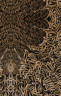 Alpha-Skin Texture Film 5 pcs "Sinir Ağı N2"